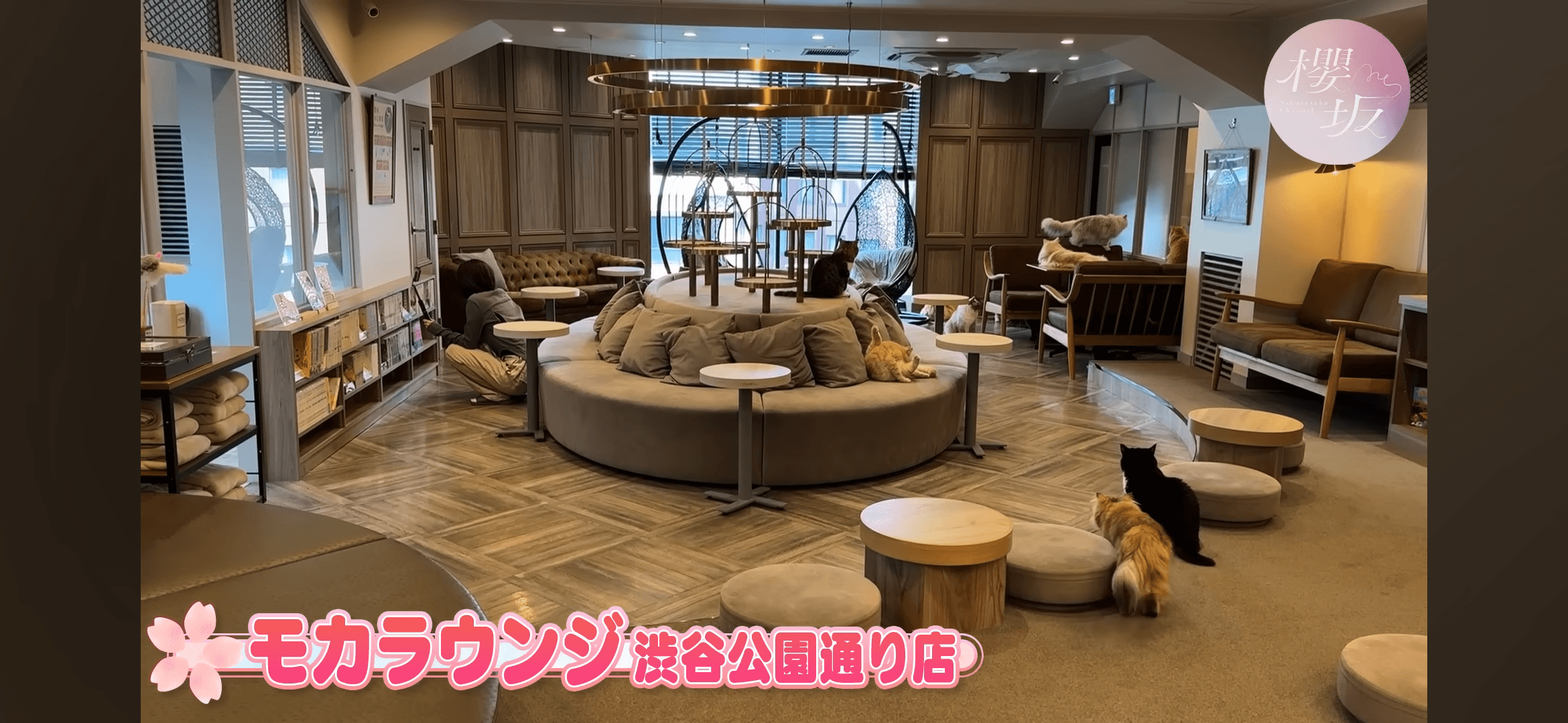 猫カフェ MOCHA(モカ) ラウンジ渋谷公園通り店 - 藤吉夏鈴の聖地